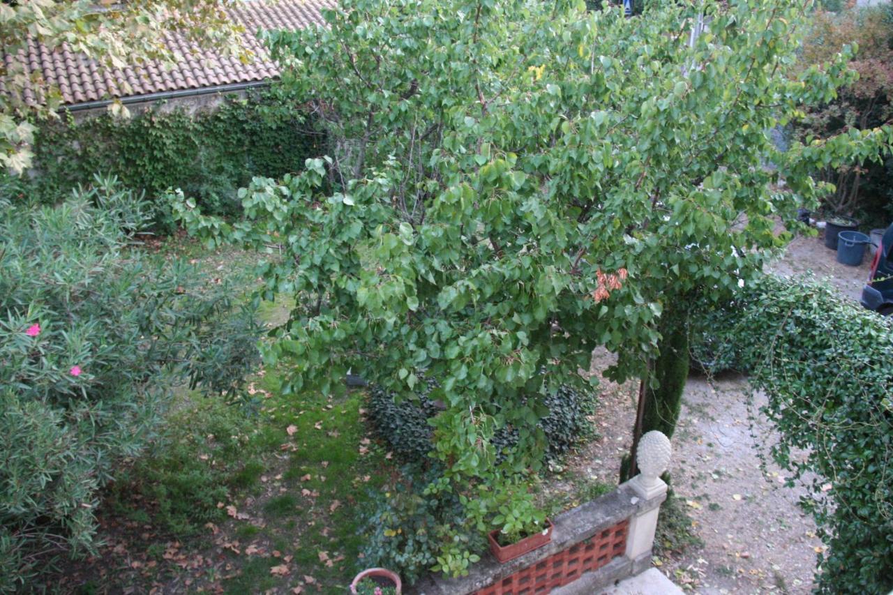 Le Mas Des Dames Appartement Авиньон Екстериор снимка